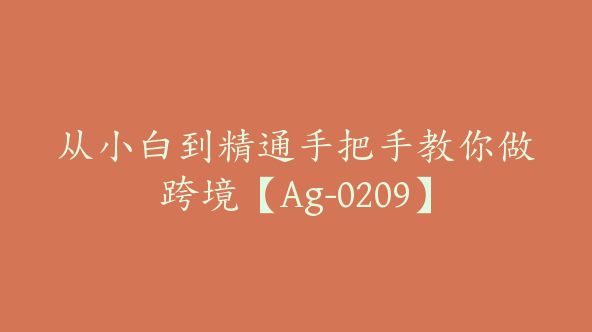 从小白到精通手把手教你做跨境【Ag-0209】