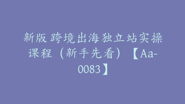 新版 跨境出海独立站实操课程（新手先看）【Aa-0083】
