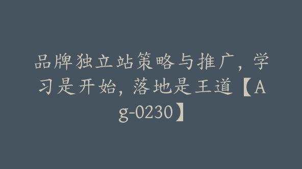 品牌独立站策略与推广，学习是开始，落地是王道【Ag-0230】