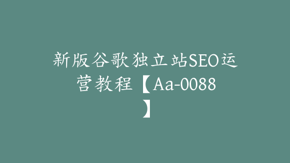 新版谷歌独立站SEO运营教程【Aa-0088】